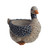 Duck Resin Planter Grey