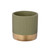 Ceramic Ripple Sage Pot with Gold 11.5cm