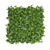 Exterior U.V Bay Leaf Green Wall - 50 x 50cm