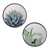 Wall Art Wooden Round Succulents Assorted