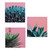 Canvus Succulents Pink Background 3 Assorted