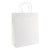 Kraft Paper Bag White Pack Of 10