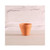 Terracotta Pot