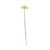 Anthurium White from Country Baskets