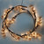 Gypsophilia Garland 1.7M 100 LED from Country Baskets