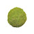 15cm Flat Moss Ball (Preserved Green) (1/27)