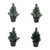 Christmas Mini Plant 4Ast from Country Baskets