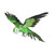 Macaw Bird Flying Green Small