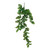 Mini Split Philo Hanging Bush