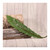 Asplenium Leaf 90cm