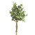 Eucalyptus Bundle Gold 30Cm from Country Baskets