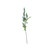Essential Thistle - Blue