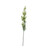 Essential Thistle - White 