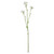 Belemcanda Chinensis Spray - 60cm from Country Baskets