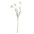 Daffodil Spray Cream - 70cm