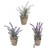 Rustic Lavender Pot 3Ast 20Cm