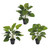 Decorative Plant In Black Pot 3Ast 55Cm