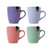 11Oz 4 Assorted Matt Solid Colour Mug
