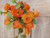 Mini Ranunculus Bush x7 Orange