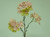 48cm Hydrangea w/Gem Pink