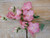 24" Morning Glory Spray Pink