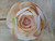 19.5" Ranunculus Lt Pink