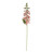 Essential Foxglove - Peach