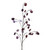 Silver Dollar Purple 141cm