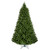 7ft Grand Pine
