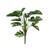 Split Philo Plant