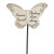 Butterfly Pick Someone Special