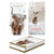 12 Luxury Cards XMAS Slim Box H/land Cow Stag 2 Assorted