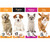 Calendar Super Slim Dogs Cats Kittens Puppies 4 Asst