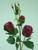 51cm Rose Spray Burgundy