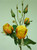 51cm Rose Spray Orange