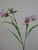 58cm Bell Flower Pink