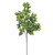 33" Boxwood Spray