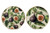 35Cm Fig Enamel Plate 2 Asst