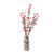 Exterior Berry  Bunch