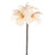 Emily Amaryllis Spray Cream 48 cm