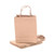Craft Recycle Bags 10Pcs 18X10