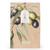 Room Spray & Candle Jar Gift Set Olive Vine & Thyme - 6% & 5% Groves Of Corsica 
