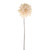 Emily Dahlia Stem Cream 55Cm