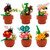 Minibricks Flowers 6 Asst