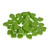 Wooden Heart Netted Bag of 50 Apple Green