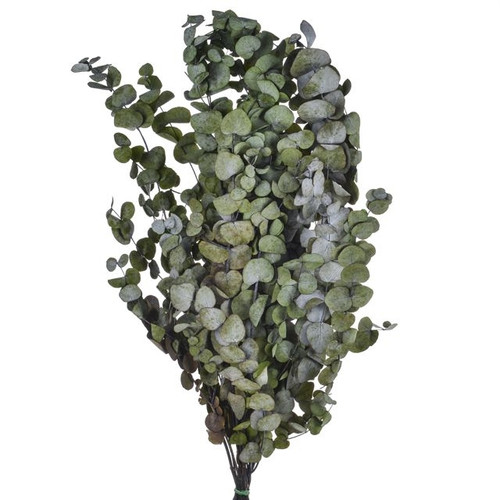 Eucalyptus Preserved Spiral Capillary green Country Baskets