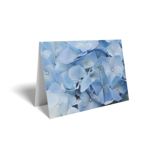 Folded Card Blue Hydrangea | Floristry Supplies | Country Baskets
