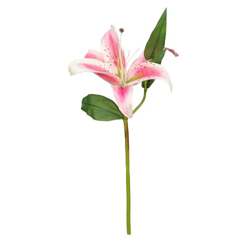 Casablanca Lily Pink 15 - Country Baskets