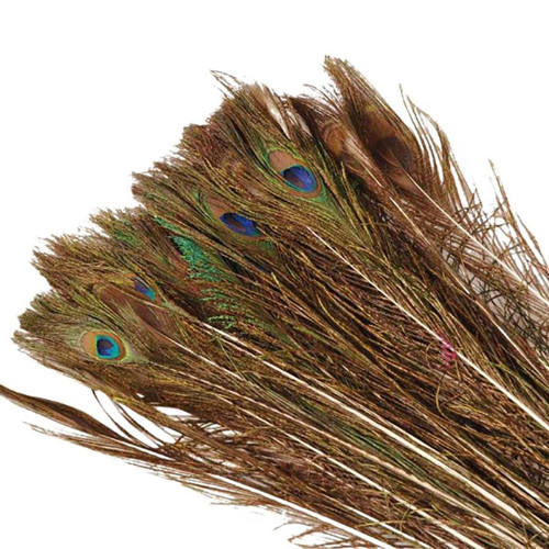 Basic Peacock Feather Lbl L100110 Natural Country Baskets