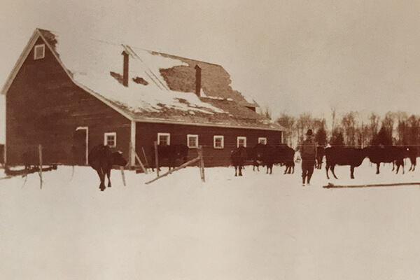 Family farm in 1919 Family farm in 1919
